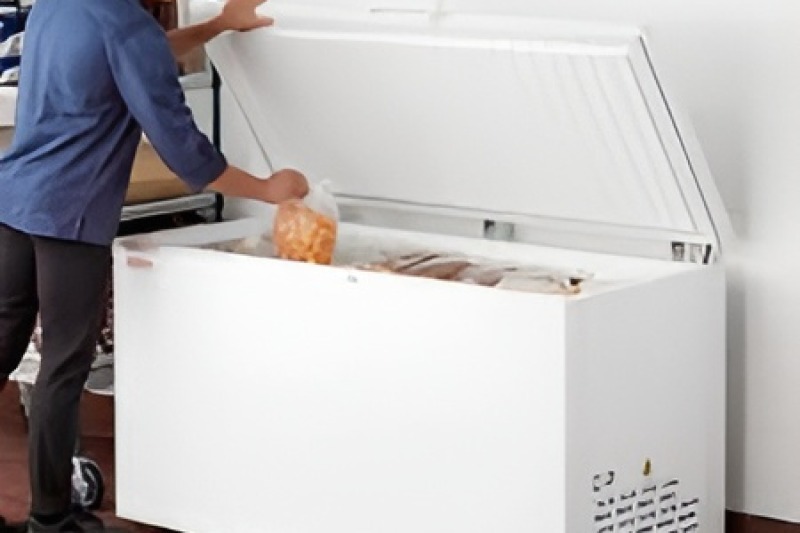 Freezer Repair in Valle Vista
